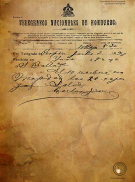 Telegrama informando el envío de suministros 1894